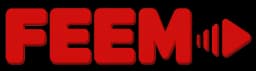 FEEM Logo